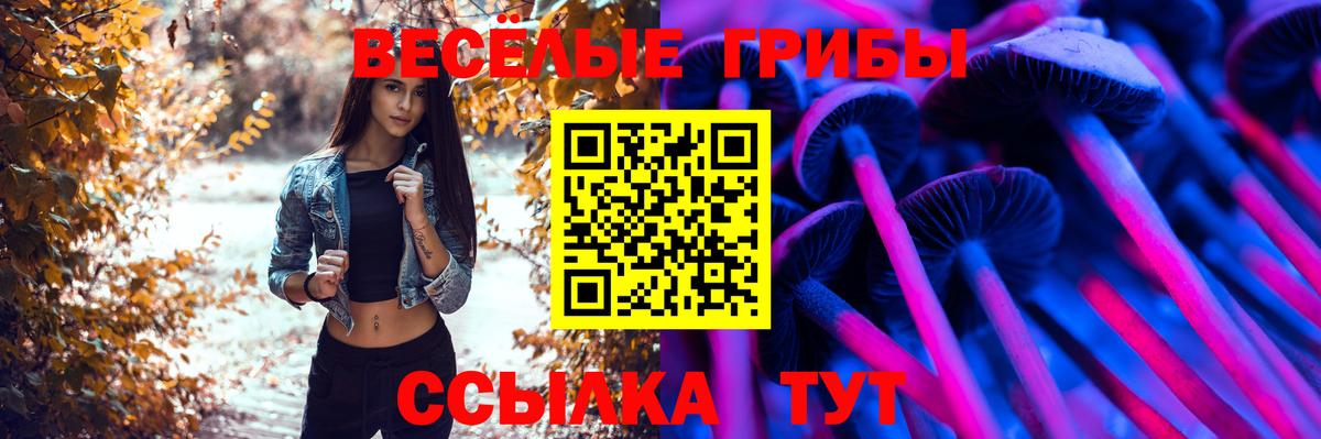 Североморск  Галлюциногенные грибы GOLDEN TEACHER  что такое   Вход с VPN 